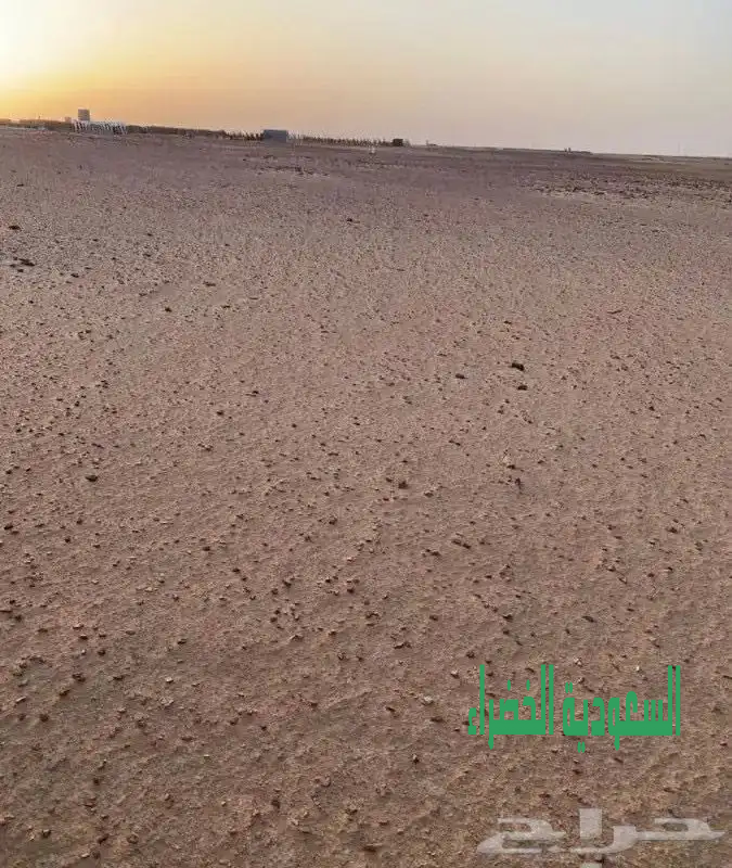 ارض في الجلة زراعية